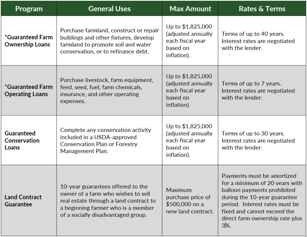 USDA farm loans table